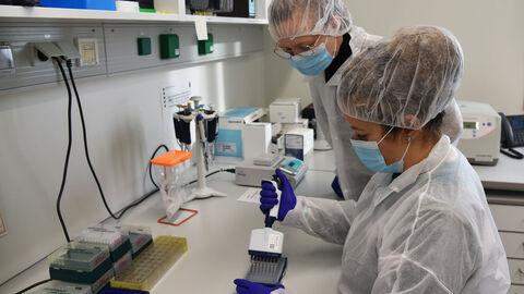 DNA-Spuren Untersuchung im Labor