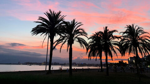 Symbolbild Urlaub Palmenstrand