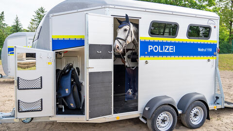 Kopffreiheit, Platz und heller Innenraum bieten die Pferdetransportanhänger