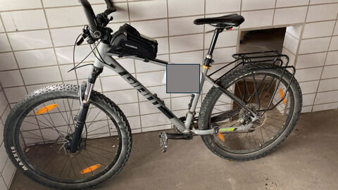 sichergestelltes graues Mountainbike der Marke GIANT, Modell Talon 275